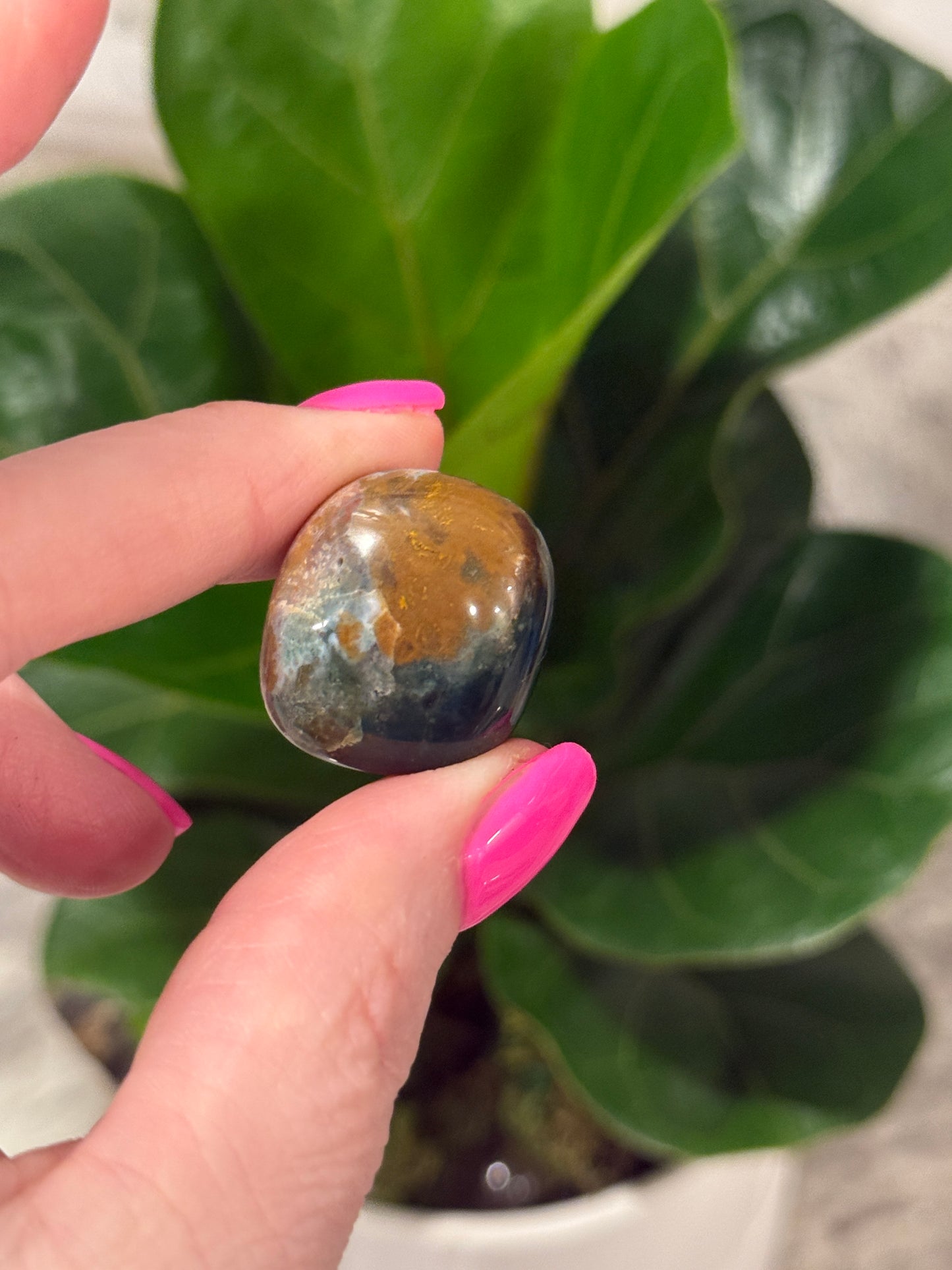 Ocean Jasper Tumbles
