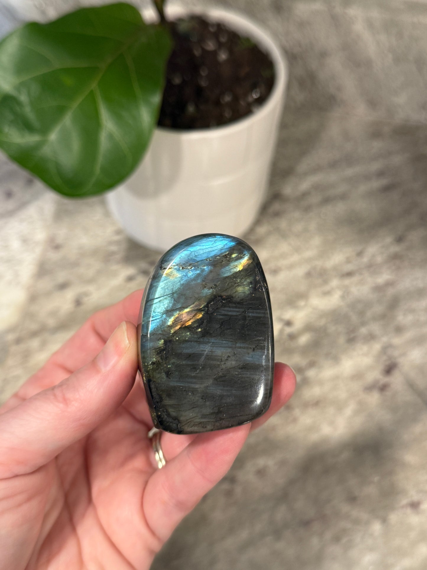 Labradorite Free Form
