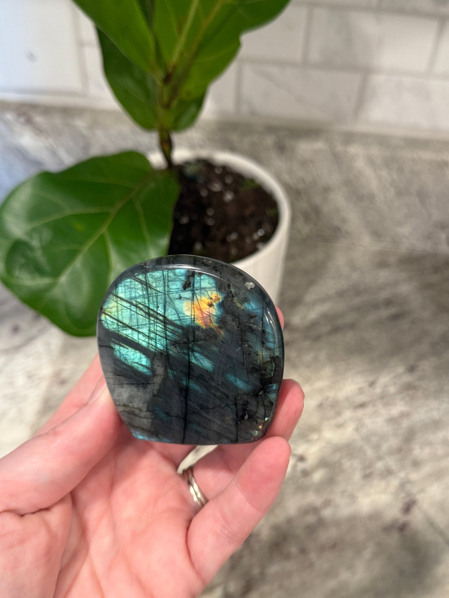 Labradorite Free Form
