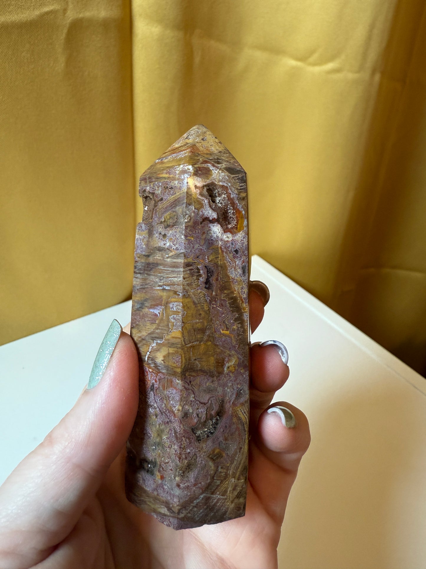 Petrified Wood  Polished Points