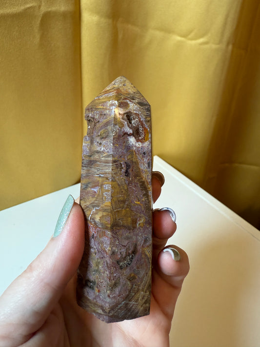 Petrified Wood  Polished Points