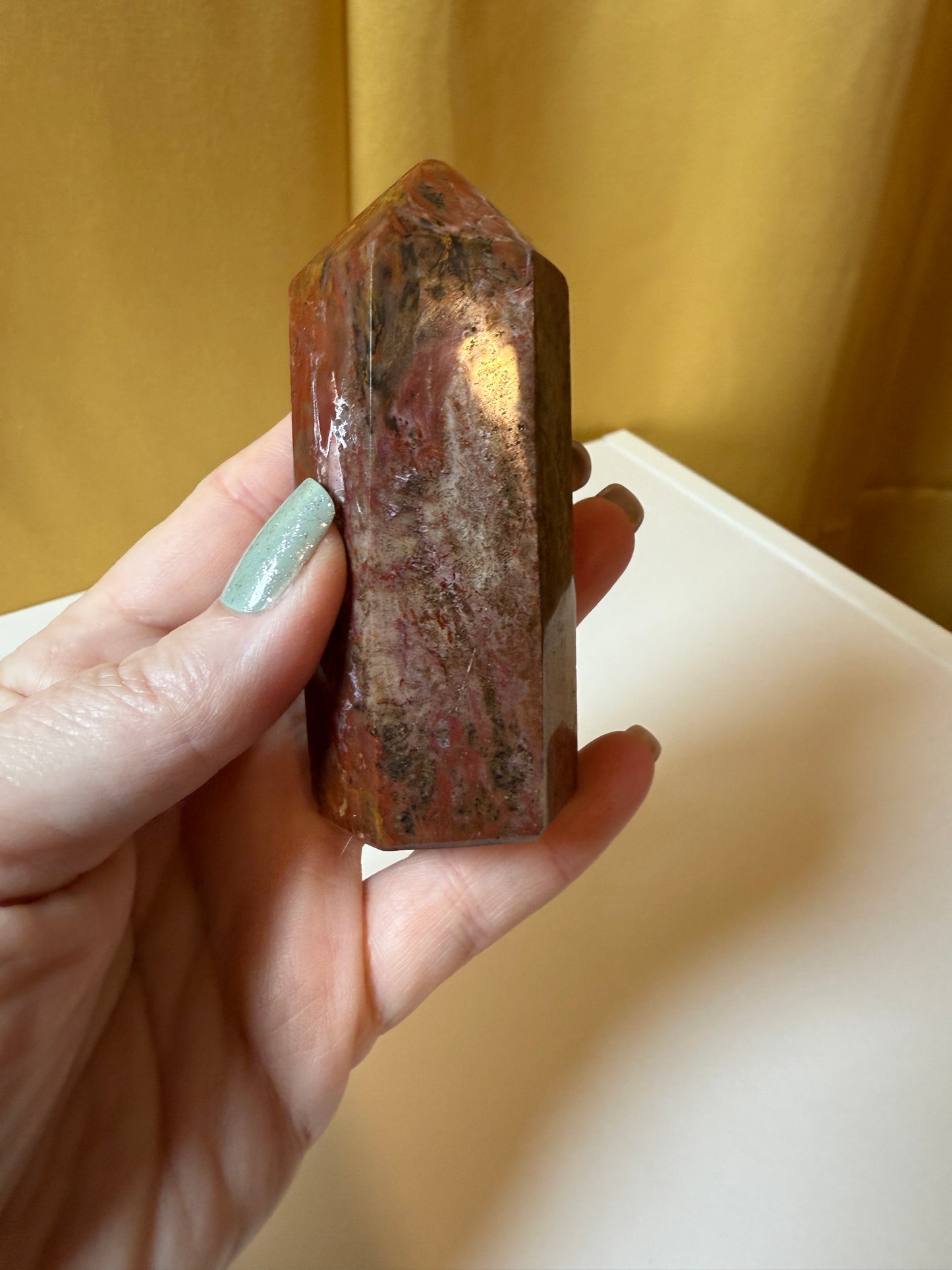 Petrified Wood  Polished Points