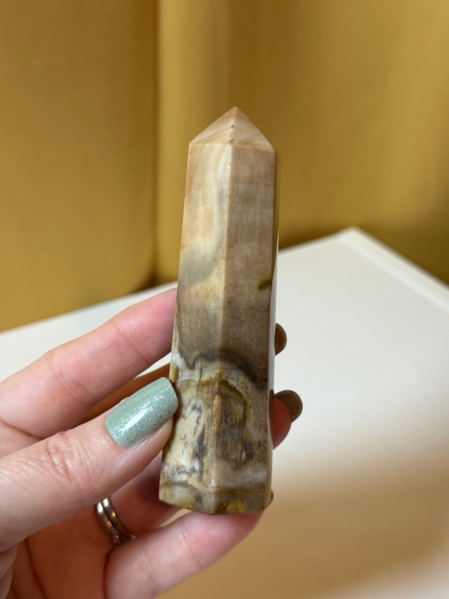 Petrified Wood  Polished Points