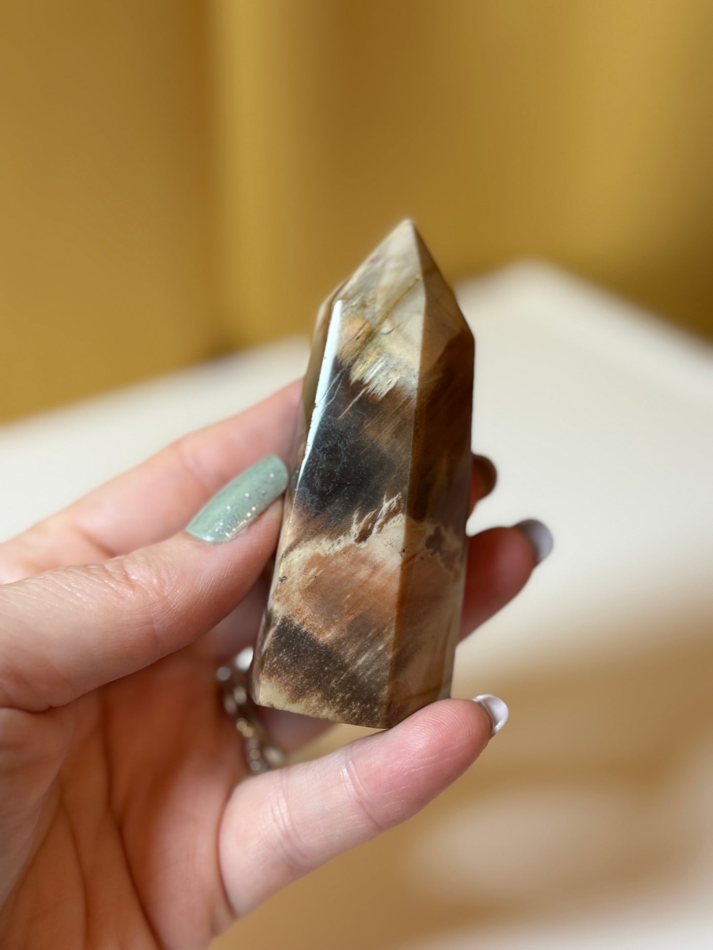Petrified Wood  Polished Points