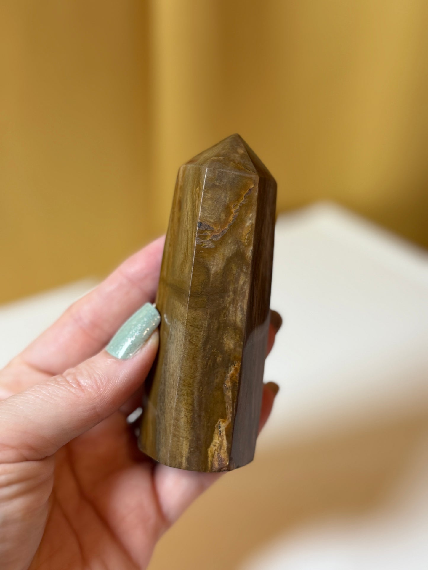 Petrified Wood  Polished Points