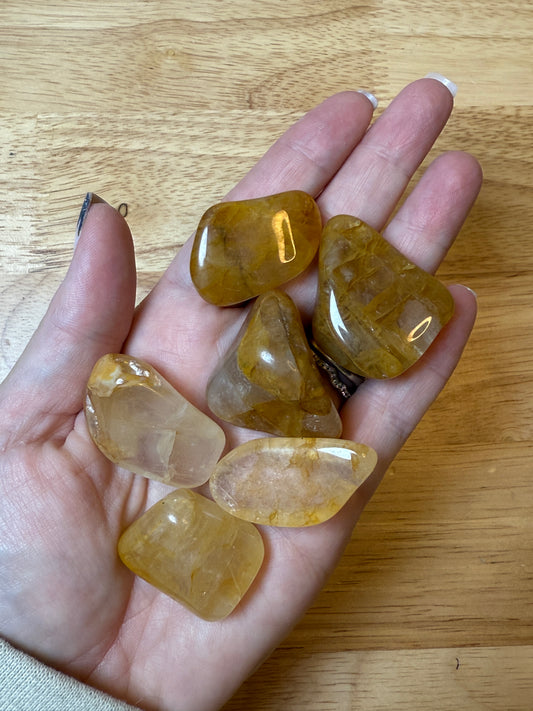 Golden Healer Tumbles