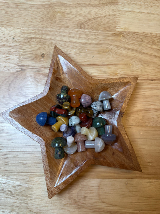 MINI Gemstone Mushroom Pocket Stone: Mix