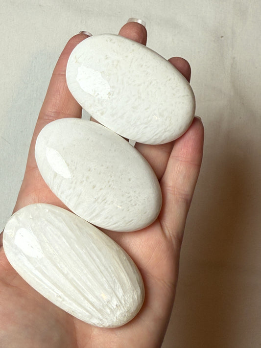 Scolocite Palm Stone
